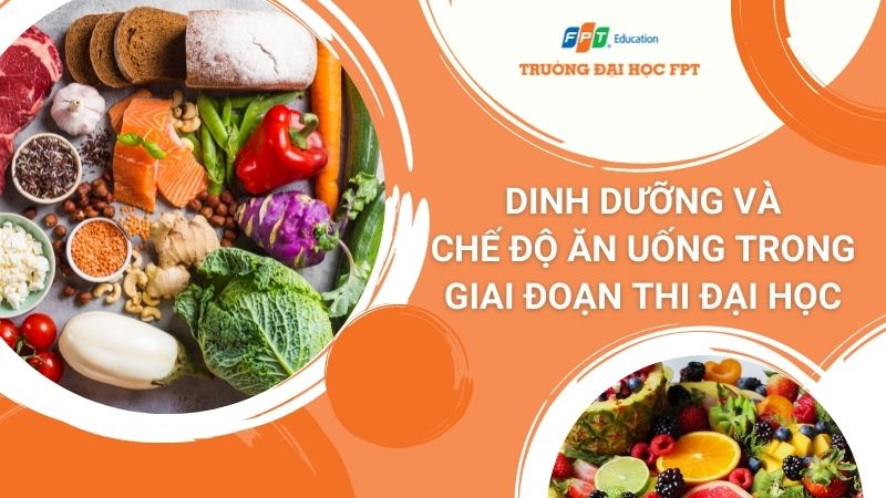 Dinh dưỡng trong kỳ thi đại học